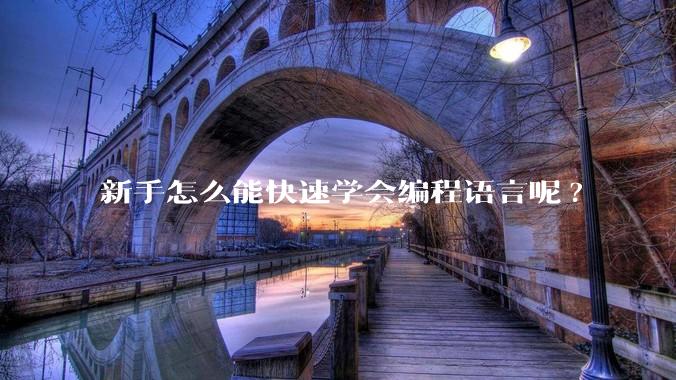 新手怎么能快速学会编程语言呢?